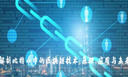 深入解析比特币中的区块链技术：原理、应用与未来趋势