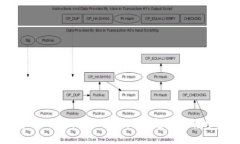 : 如何将Tokenim放入EOS平台