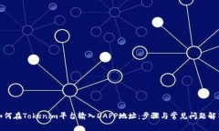 如何在Tokenim平台输入DAP