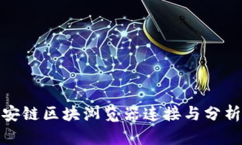 如何使用币安链区块浏览器连接与分析区块链数据
