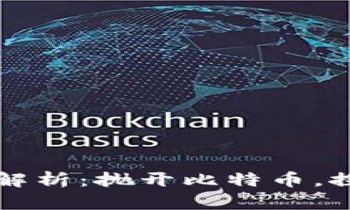 区块链技术的深度解析：抛开比特币，探索更多应用与前景