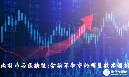 比特币与区块链：金融革命中的明星技术解析