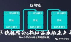 迈阿密区块链峰会：揭秘