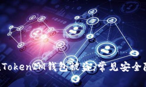 如何防止TokenTokenIM钱包被盗：常见安全隐患与解决方案
