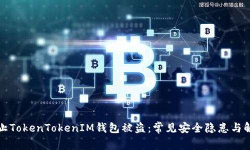 如何防止TokenTokenIM钱包被盗：常见安全隐患与解决方案