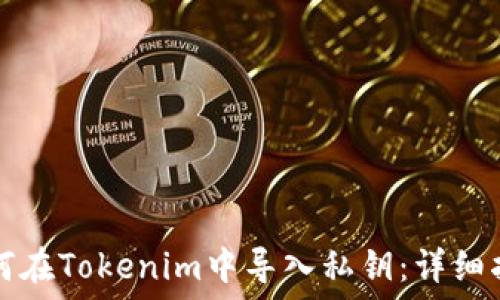  
如何在Tokenim中导入私钥：详细指南