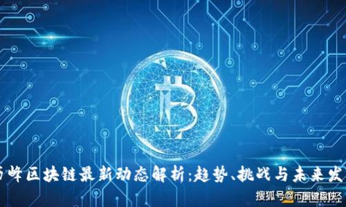 历峰区块链最新动态解析：趋势、挑战与未来发展