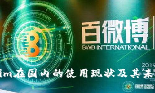 Tokenim在国内的使用现状及其未来展望
