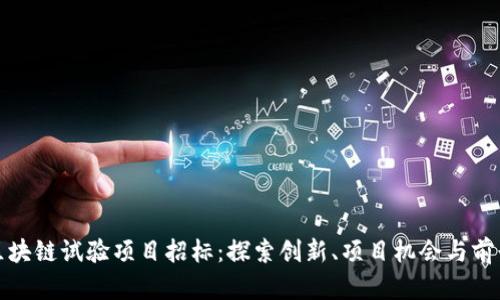最新区块链试验项目招标：探索创新、项目机会与前景分析