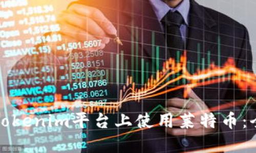 如何在Tokenim平台上使用莱特币：全面指南