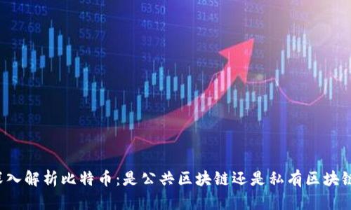 深入解析比特币：是公共区块链还是私有区块链？
