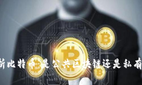 深入解析比特币：是公共区块链还是私有区块链？