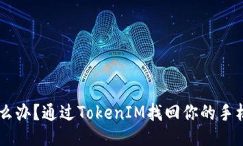 手机丢了怎么办？通过TokenIM找回你的手机的全面指南
