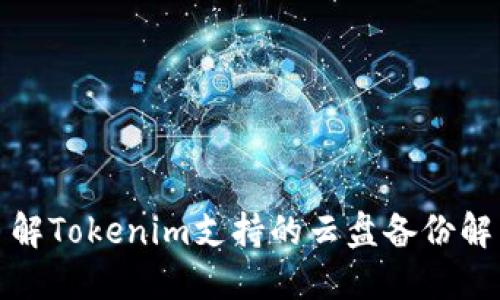 全面了解Tokenim支持的云盘备份解决方案