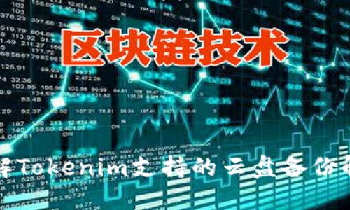 全面了解Tokenim支持的云盘备份解决方案
