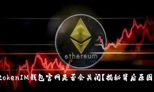 TokentokenIM钱包官网是否会关闭？揭秘背后原因及影响