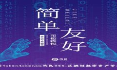 深入解析Tokentokenim钱包B
