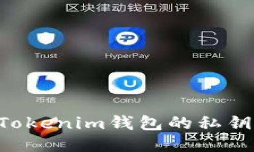 如何找回Tokenim钱包的私钥：全面指南