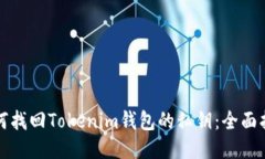 如何找回Tokenim钱包的私钥