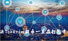 如何解决Tokenim提币一直在