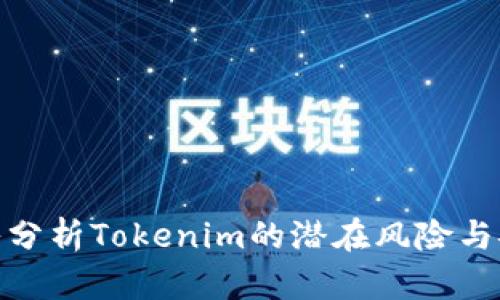 : 深入分析Tokenim的潜在风险与安全性