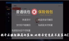 揭开区块链骗局的真相：