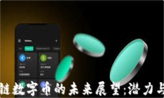 区块链数字币的未来展望