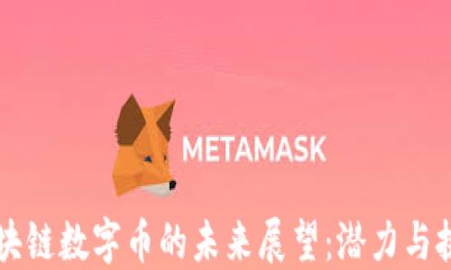 
区块链数字币的未来展望：潜力与挑战