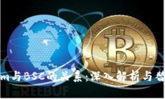 Tokenim与BSC的关系：深入解