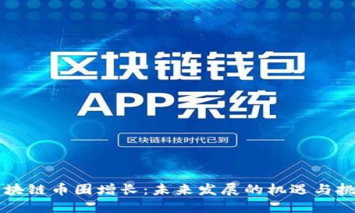 区块链币圈增长：未来发展的机遇与挑战