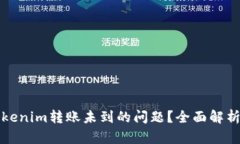 如何解决Tokenim转账未到的