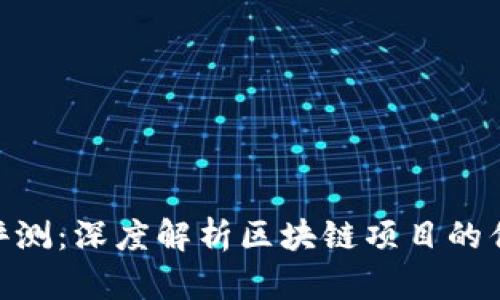 Tokenim评测：深度解析区块链项目的优劣及未来