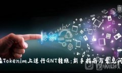  如何在Tokenim上进行GNT转账
