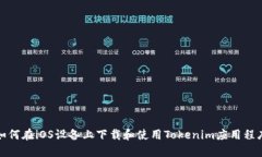 如何在iOS设备上下载和使