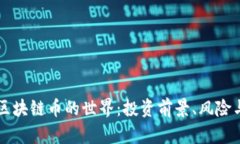深入探索区块链币的世界