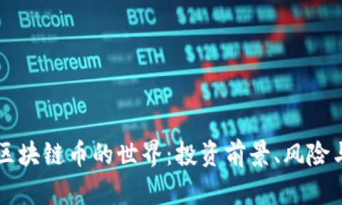 深入探索区块链币的世界：投资前景、风险与技术分析