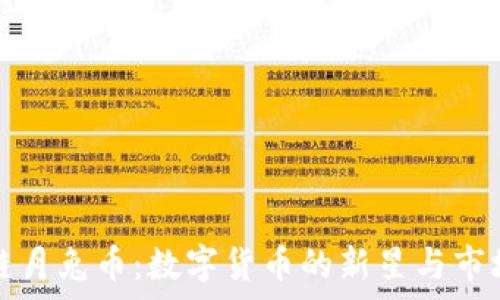   
国际区块链月兔币：数字货币的新星与市场趋势分析
