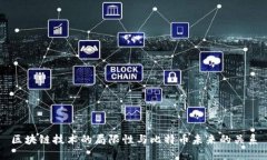 区块链技术的局限性与比