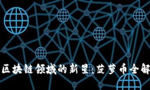 区块链领域的新星：菠萝币全解