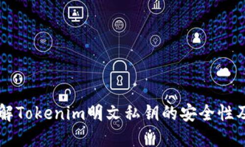 深入理解Tokenim明文私钥的安全性及其应用
