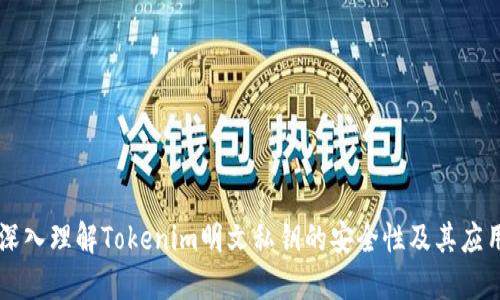 深入理解Tokenim明文私钥的安全性及其应用