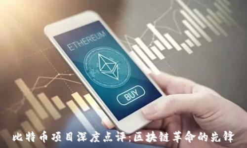   
比特币项目深度点评：区块链革命的先锋