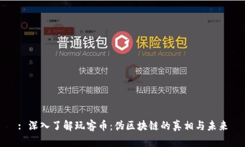 : 深入了解玩客币：伪区块链的真相与未来