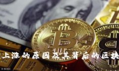 比特币币值上涨的原因及