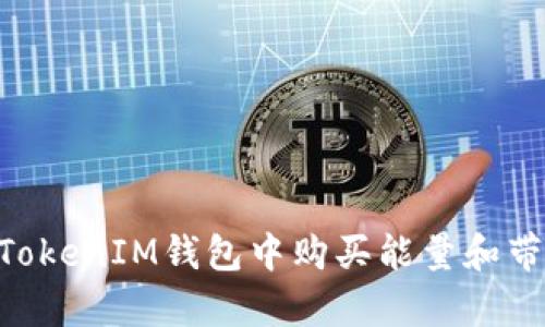 如何在TokenTokenIM钱包中购买能量和带宽的详细指南