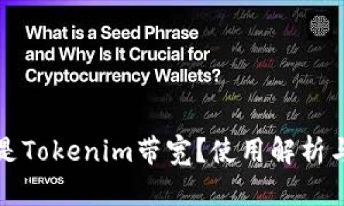 什么是Tokenim带宽？使用解析与指南