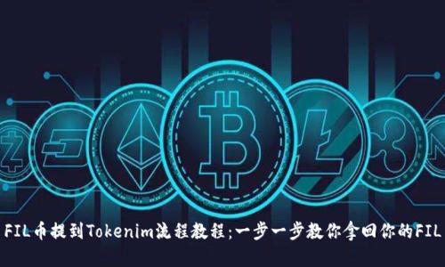 FIL币提到Tokenim流程教程：一步一步教你拿回你的FIL