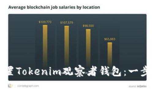 如何设置Tokenim观察者钱包：一步步指南