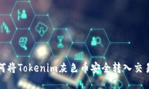 如何将Tokenim灰色币安全转入交易所