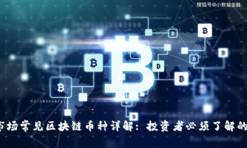 2023年市场常见区块链币种详解: 投资者必须了解的数字资产